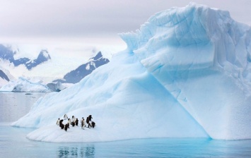 Эстония проведет крупную экспедицию в Антарктиду