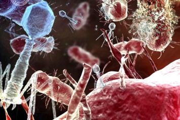 Глобальная проблема XXI века: «супербактерии» против человечества