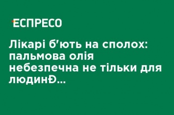 Врачи бьют тревогу: пальмовое масло опасно не только для человека, но и для планеты