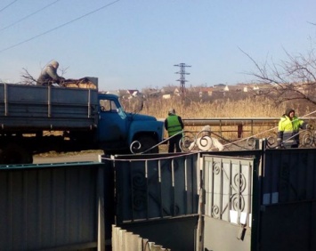 Фирма мелитопольского коррупционера безнаказанно выпиливает деревья в городе