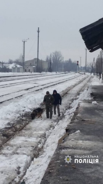 На Луганщине полиция блокирует утечку оружия из зоны ООС