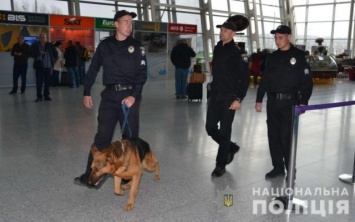 В аэропорту «Днепропетровск» появились четырехлапые полицейские