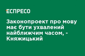 Законопроект о языке должен быть принят в ближайшее время, - Княжицкий