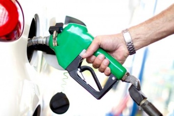 «Пора платить 60 рублей за литр»: В России могут поднять цены на бензин из-за самого дешевого топлива в Европе