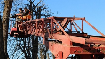 В центре Симферополя срубят 300 аварийных деревьев