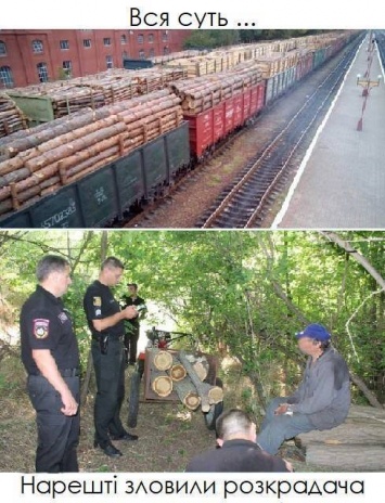 ''Семь бревен - это кража, а вагонами - бизнес'': в сети высмеяли борьбу с вырубкой леса в Украине