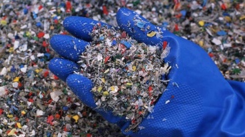 Красную дорожку сделали из мусора в Берлине: потратили тонны отходов
