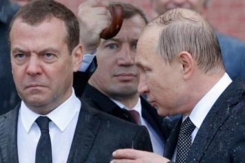 «Верный пес»: Скрытую связь Медведева и Путина отследили психологи и физиогномисты