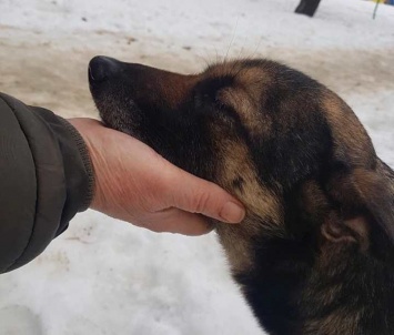 «Она пыталась разбудить хозяина и потеряла сознание». В Харькове мужчина заживо сгорел в своей квартире (фото)