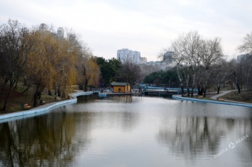 Февраль в Одессе: аномально теплый день «заглянул» в Парк Победы (фоторепортаж)