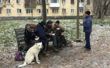 Жителей Черноморки кошмарят бездомные (ФОТО)