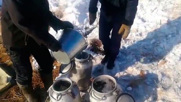 В Казахстане перевернулся спиртовоз, народ с ведрами бросился запасаться