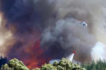 Таких лесных пожаров в Новой Зеландии не видели уже 60 лет - несколько тысяч людей эвакуированы