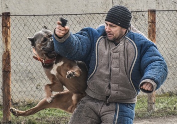 Под Одессой тестировали собак спецназначения (фоторепортаж)