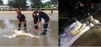 На курорте в Таиланде нашли обезглавленные тела мужчин и голову женщины