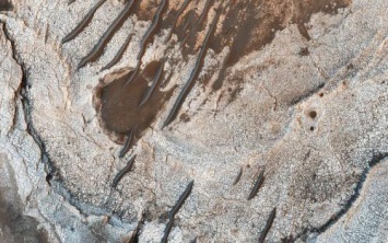 «Пиявки-гиганты»: NASA запечатлели гниение на поверхности Марса