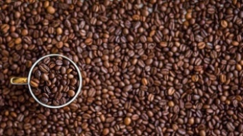 Как влияет кофеин на организм человека