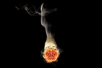 Биологи увидели действие никотина внутри нервной клетки