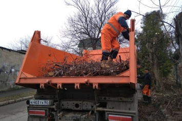 В крымской столице снова обрезали деревья