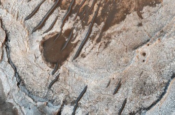 NASA показало новый снимок поверхности Марса