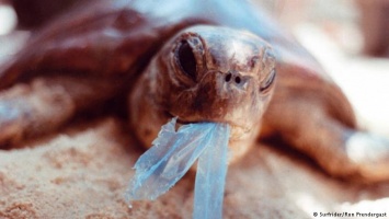 В Украине готовятся запретить пластиковые пакеты