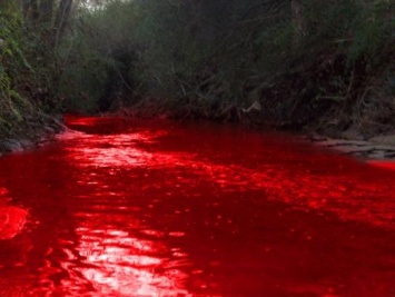 «Надвигаются библейские казни»: Кроваво-красные реки Приморского края могут вызвать смертельную эпидемию