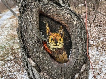Под Одессой художница рисует на деревьях ежиков и сов