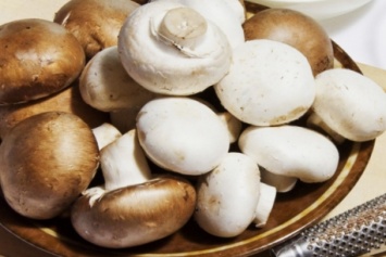 Украина наращивает темпы производства одного сорта грибов