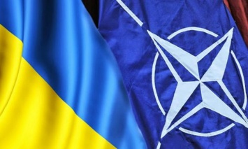 Украина вступит в НАТО: президент отдал тайный указ, детали