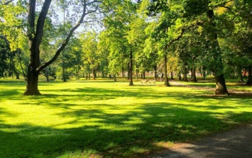 В Павлограде официальные названия и статусы присвоили трем парками и скверу