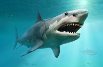 В вымирании гигантских древних акул обвинили их меньших родственников