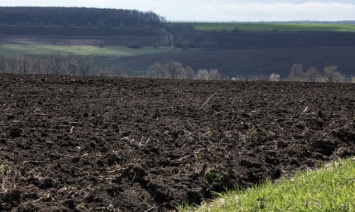 Прокуратура требует возврата в госсобственность 130 га сельхозземель в Барышевском районе Киевщины