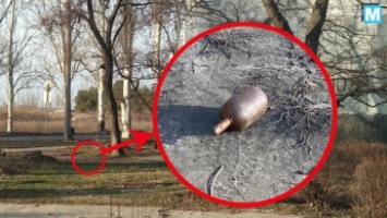 В Запорожской области найденная на улице граната оказалась муляжем (Фото)