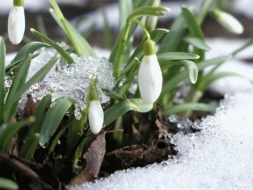 Весна придет скоро: синоптики озвучили оптимистичный прогноз