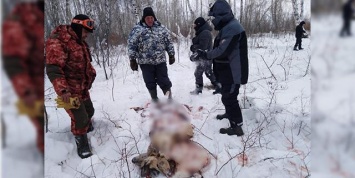 В Башкирии полицейский и депутат попались на браконьерстве