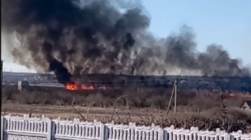 На Николаевщине продолжаются масштабные поджоги камыша