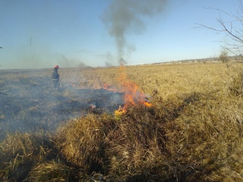 В Николаевской области вспыхнули камыши и сухая трава