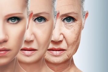 "Лекарство от старения": ученые проводят первые неофициальные эксперименты