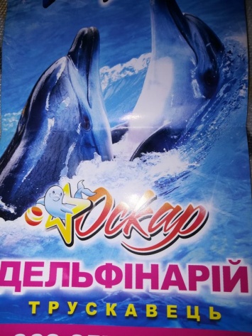 Дельфинарий, который переехал из Арабатской стрелки, в Трускавце называют "концлагерем"