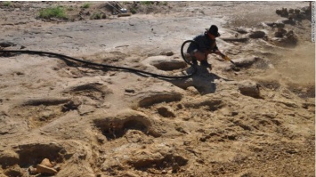 В Австралии спасли от наводнения тропу динозавров