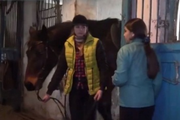 В "русском мире" кони дохнут (фото)