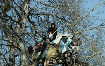 В Киеве пенсионер три года живет на дереве