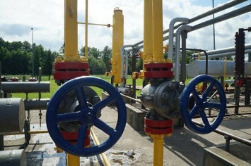 Арашукова отмажут: Украденный газ есть, а потерпевшей стороны нет