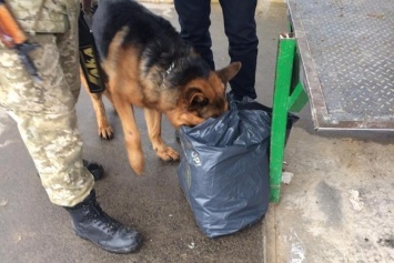 ООС: Мужчина пытался провезти в Луганск более 4 кг наркотиков