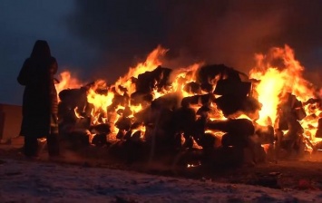 В России шаманы сожгли пять верблюдов для "укрепления государства" и "восстановления культурных ценностей"