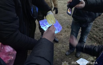 Депутат Львовской области задержан на взятке за землю