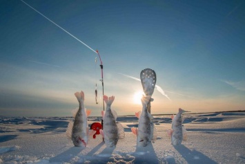 В Зенькове на реке пройдет зимний турнир по рыбалке