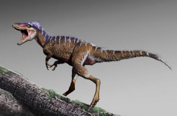 Палеонтологи описали небольшого предка тираннозавров