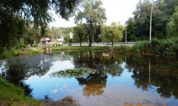 В парке "Нивки" просят установить урны и туалеты из-за гор мусора и жуткого смрада