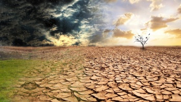"Уже начались смерти": ученые обнаружили страшные последствия потепления